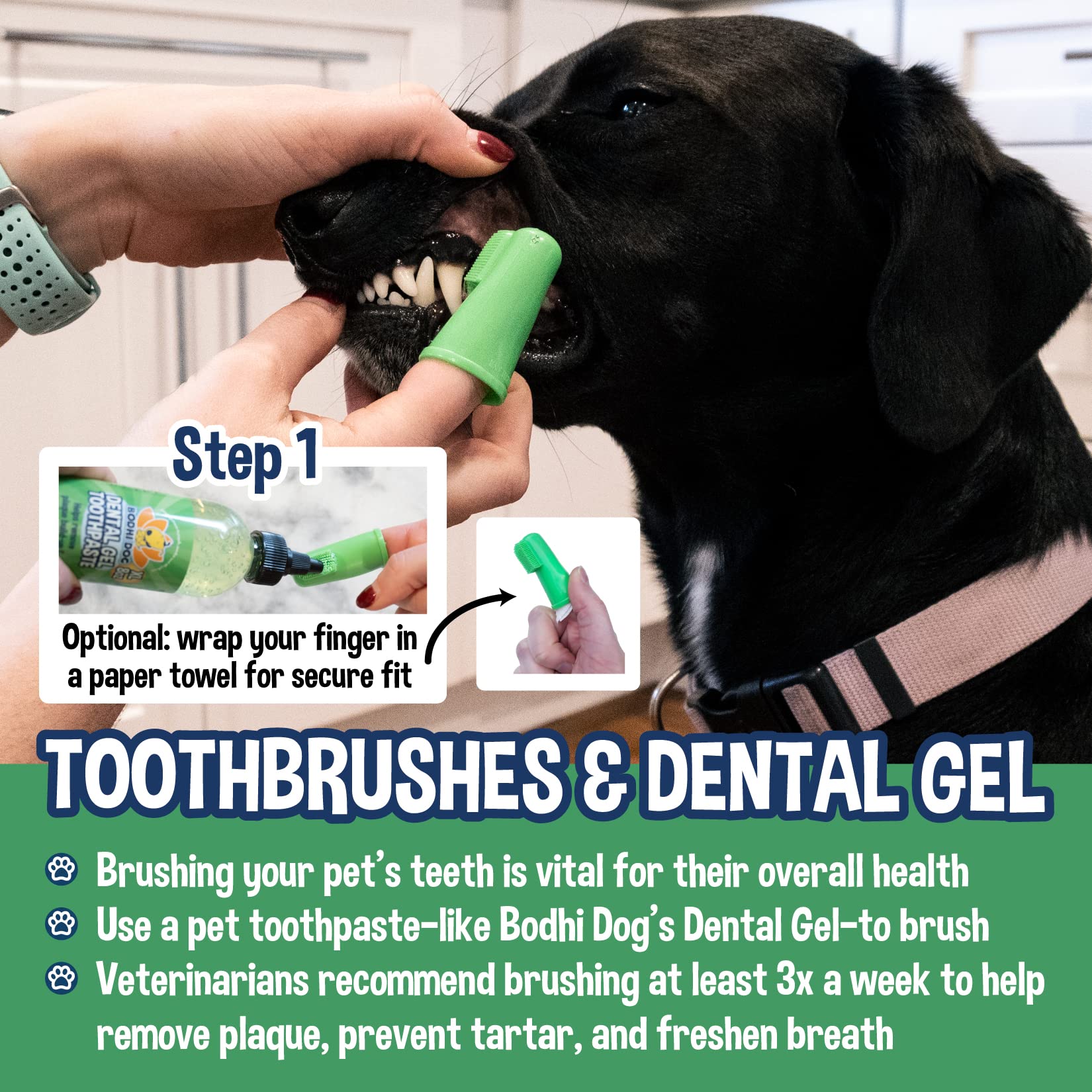 Bodhi Dog routine use supports healthier teeth and gums.