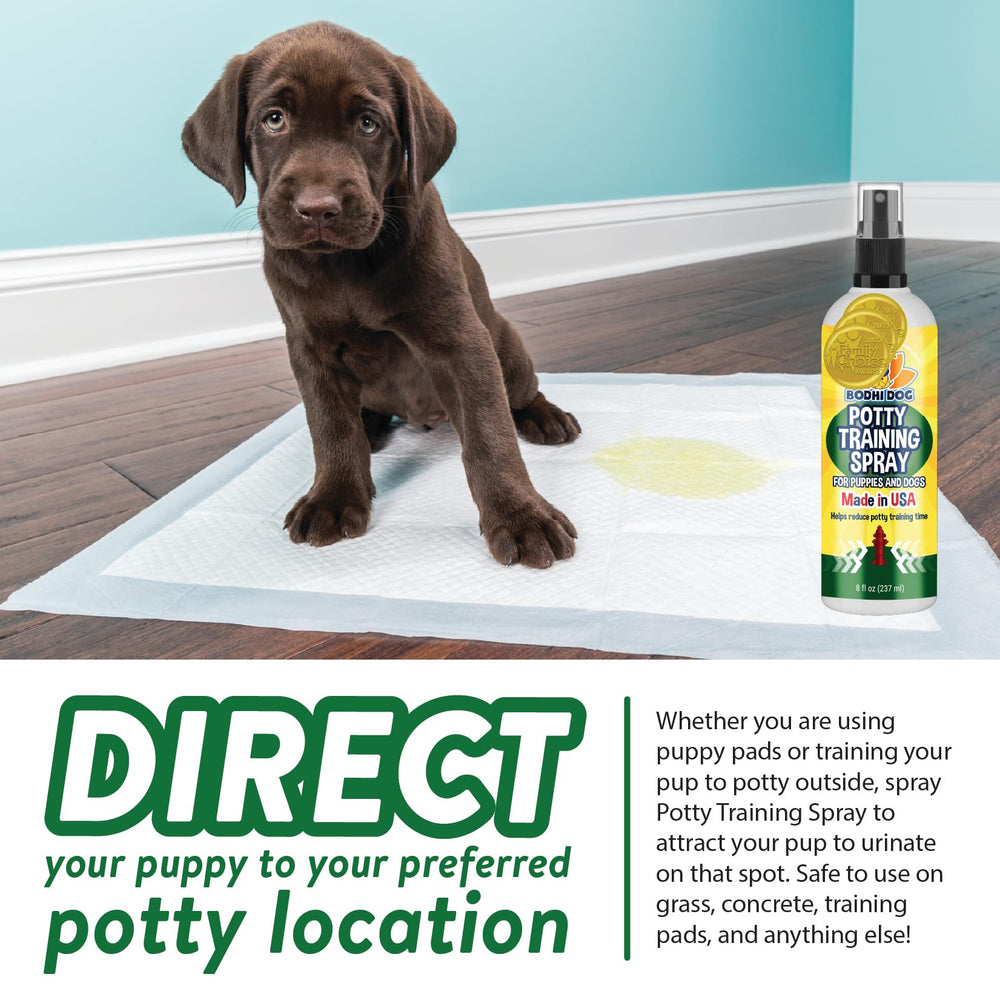Bodhi Dog Made in USA packaging reflects quality and responsible production.