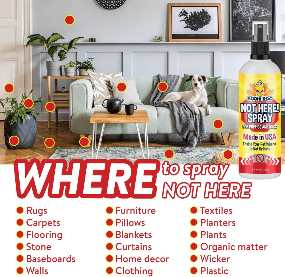 Bodhi Dog Not Here! usa-packaging: proudly produced in the USA with eco-friendly materials.