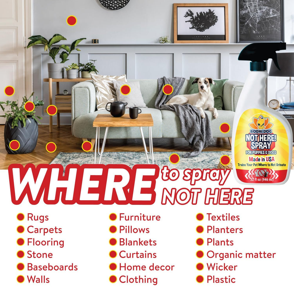 Bodhi Dog Not Here spray protects fabrics and upholstery during training.