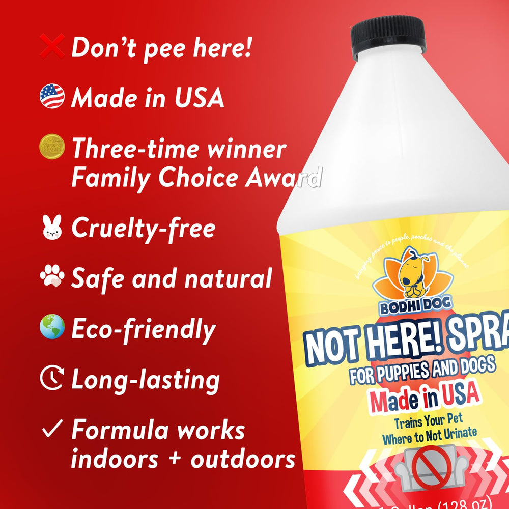 Bodhi Dog Not Here! spray used on carpet to prevent repeat soiling.