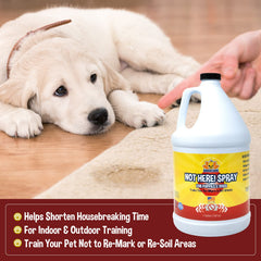 Bodhi Dog Not Here! spray in indoor-outdoor training scenario with a dog.