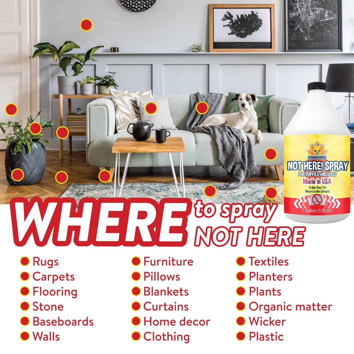 Bodhi Dog Not Here! USA-made packaging shown for safe, responsible pet care.