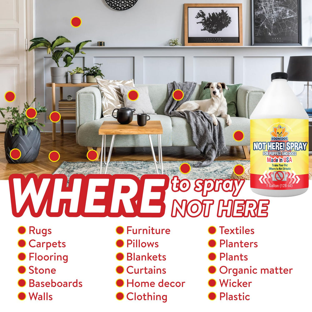 Bodhi Dog Not Here! USA-made packaging shown for safe, responsible pet care.