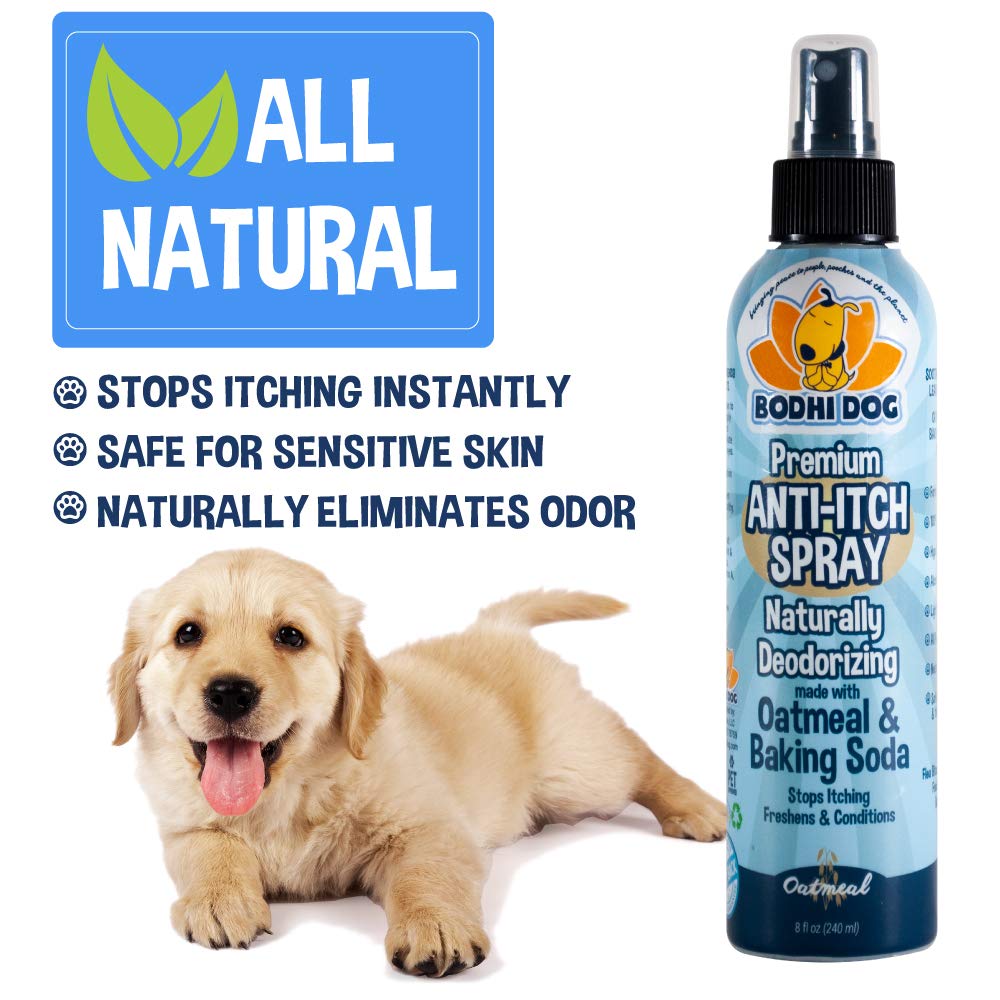 Bodhi Dog professional-grade spray packaging reflects trusted pet care quality.