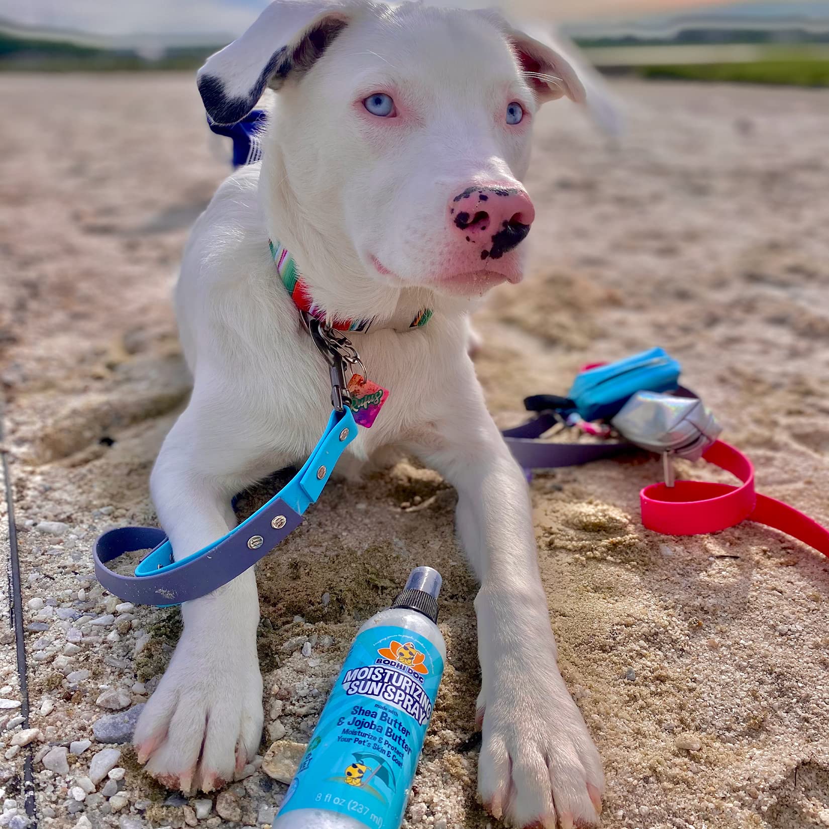 Bodhi Dog Sunscreen Moisturizing Spray made in USA by a family-owned brand