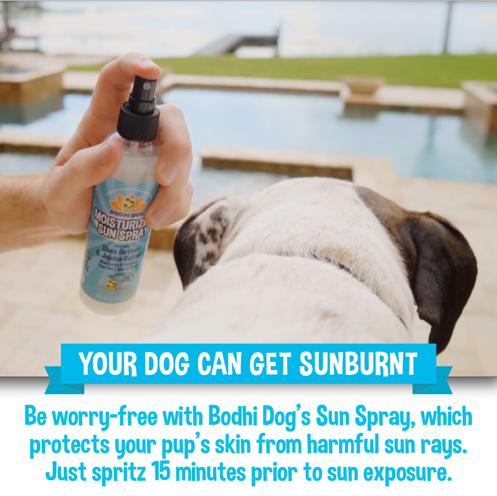 Bodhi Dog Sunscreen Moisturizing Spray has a non-greasy texture for all breeds