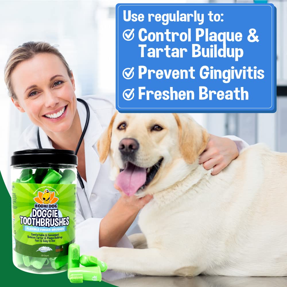 Bodhi Dog training-friendly design aids brushing with pets.