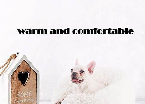 BODISEINT donut-shaped bed provides a cozy nest for cats and small dogs.
