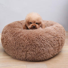 BODISEINT bed 20-inch diameter demonstrates ample space for small pets to relax.