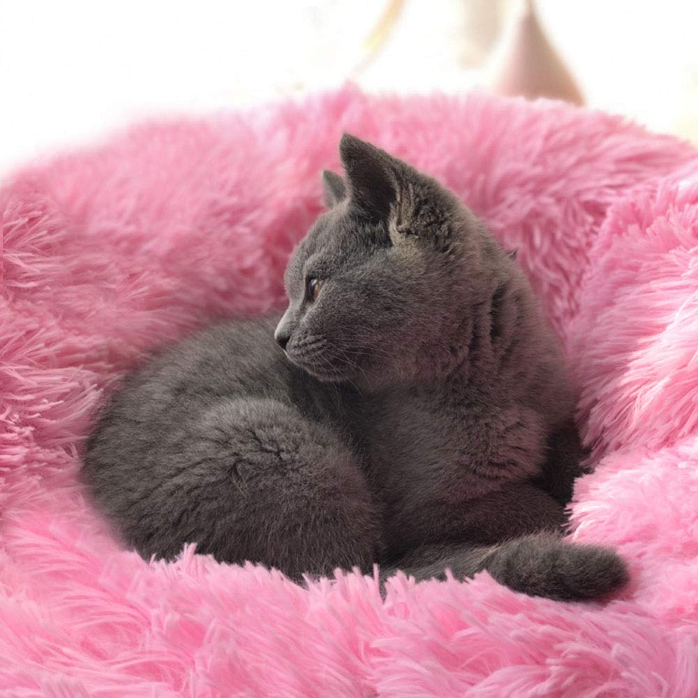 BODISEINT self-warming fleece helps keep kitty or small dog warmer during winter naps.