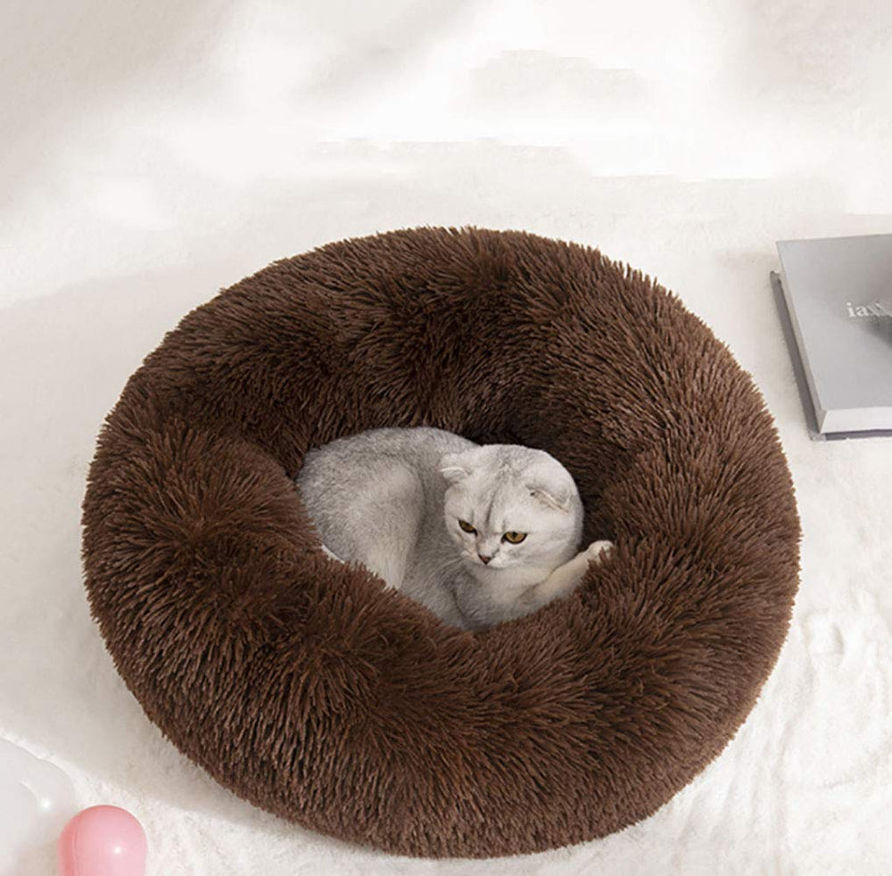 BODISEINT self warming fleece lining helps keep your pet warm during chilly evenings.