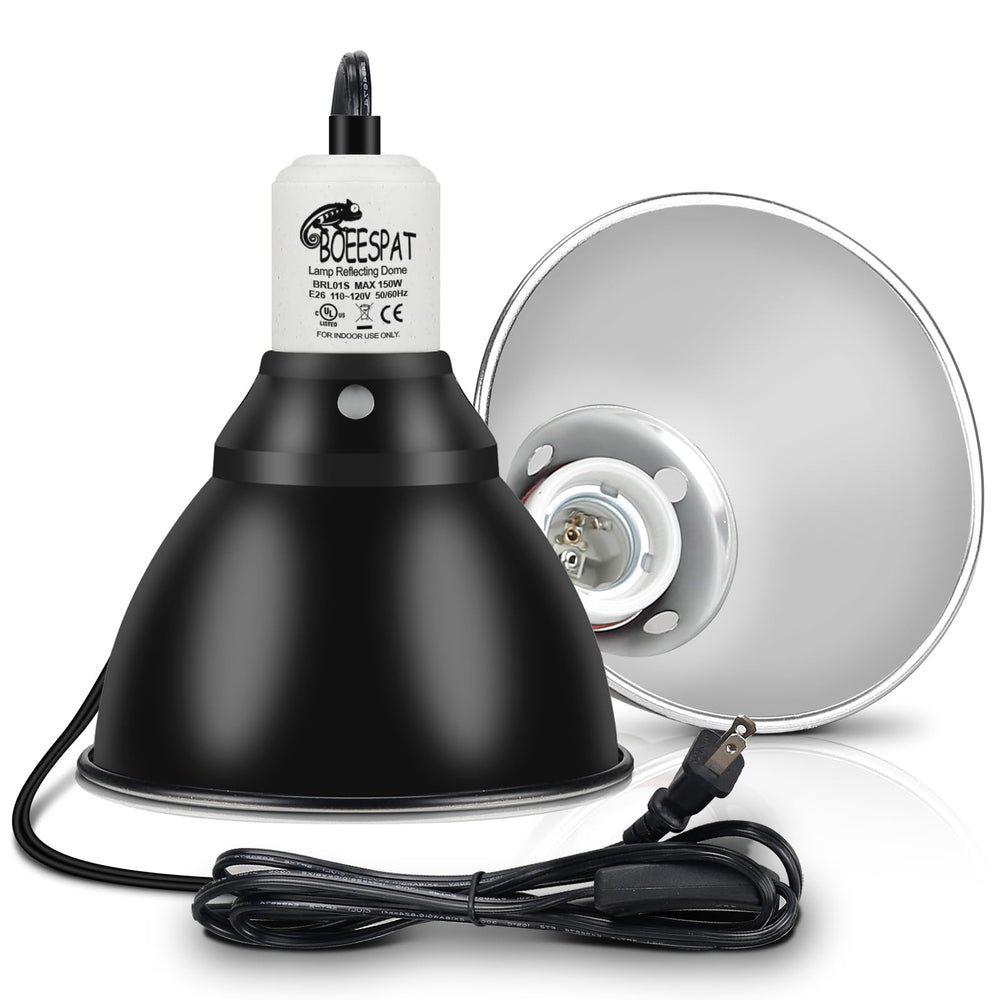 BOEESPAT 12-month warranty with responsive support