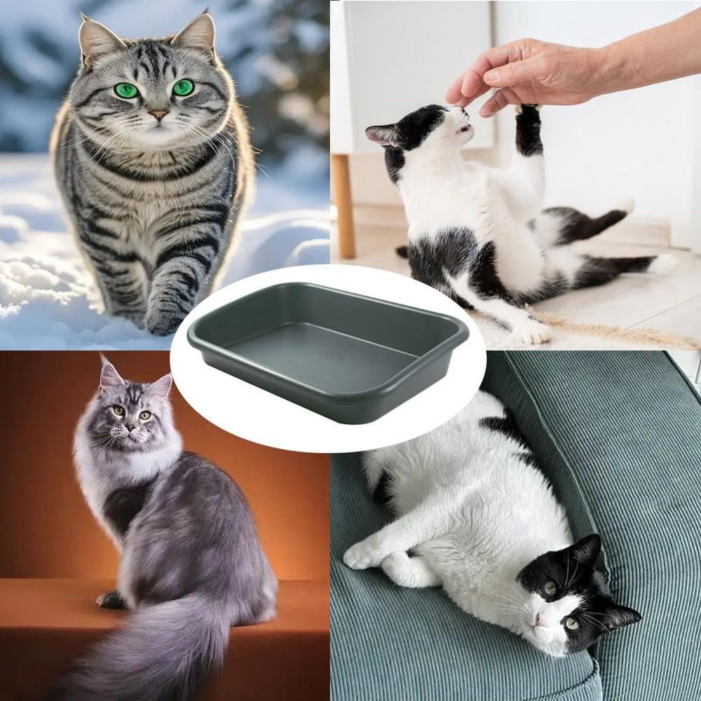 BOHESI extra-large litter box glossy ABS surface dries quickly and resists stains.