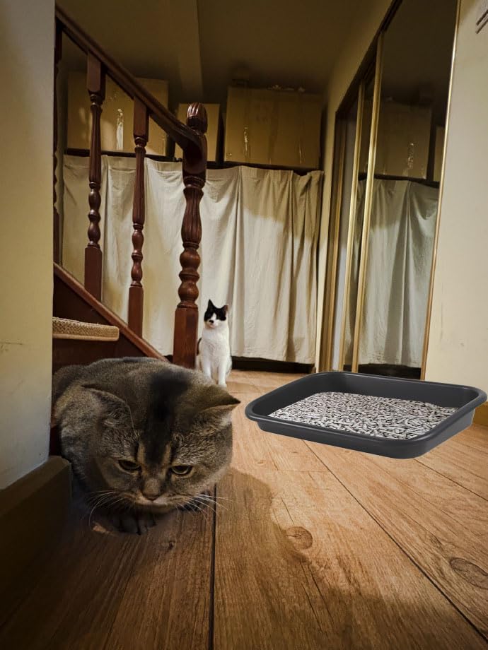 BOHESI extra-large litter box high-walls contain litter and keep floors cleaner.