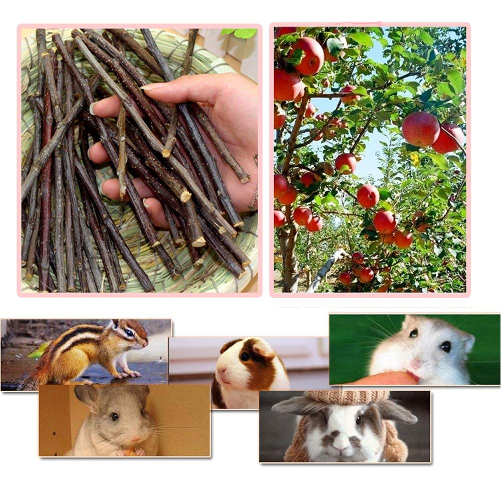 Bojafa Apple Sticks for rabbits, 6-inch chew toy with natural aroma