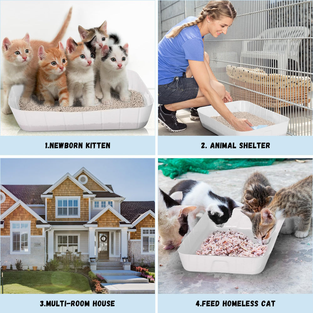 Bokon travel-friendly disposable litter box for on-the-go cleaning.