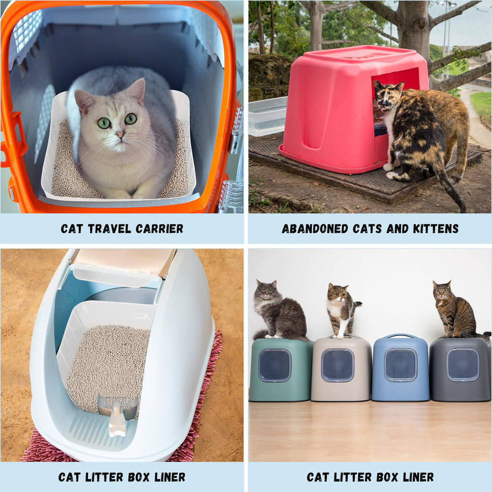 Bokon versatile litter box doubles as storage or play area.