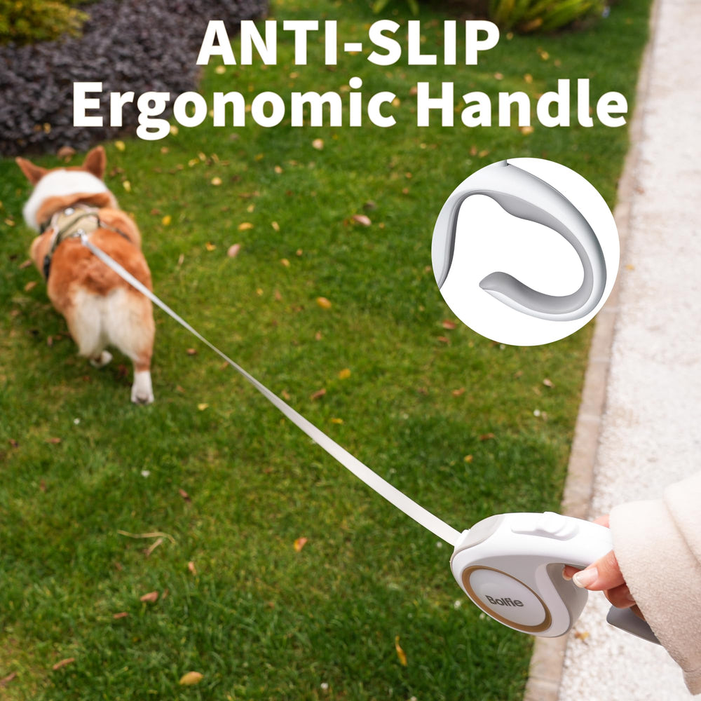 Bolfie leash up to 60 lbs proves sturdy and reliable