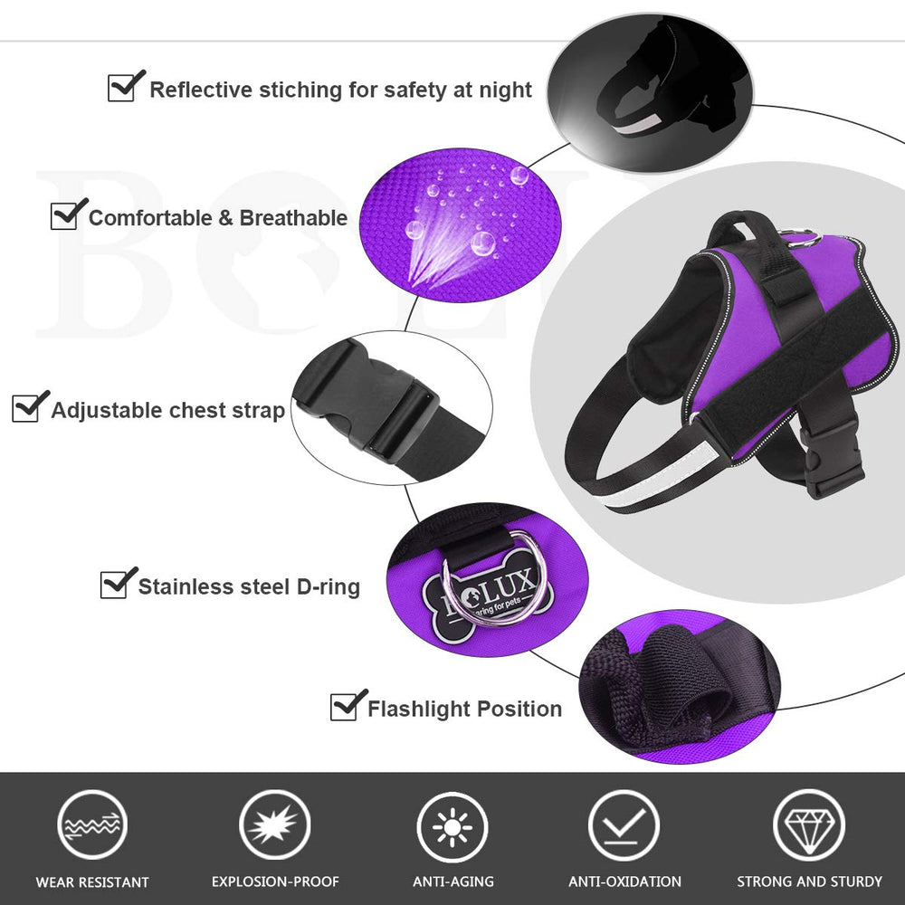 Bolux adjustable chest strap ensures a comfy growth fit for medium dogs.