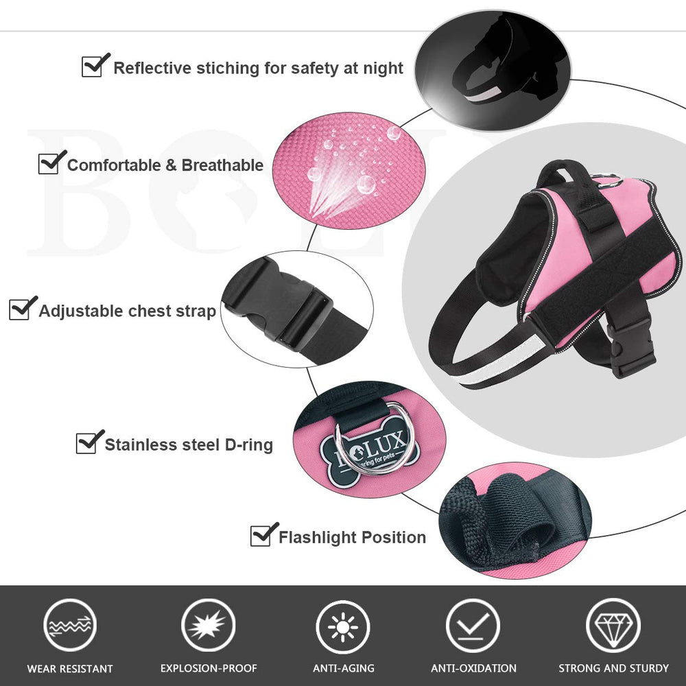 Bolux breathable adjustable harness with handle for easy outdoor control.