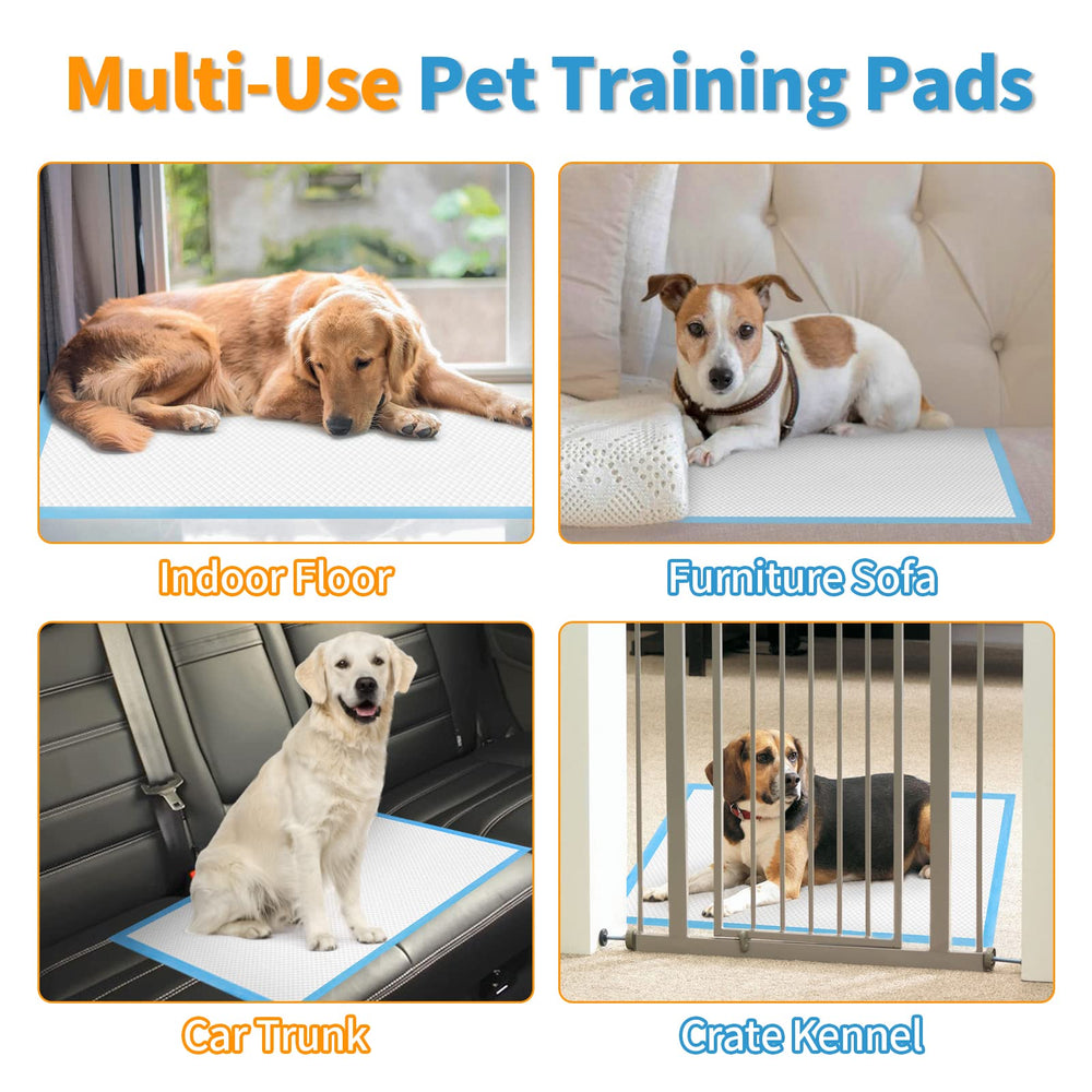 Bolux pad in a large 13x18 size supports easier training sessions.