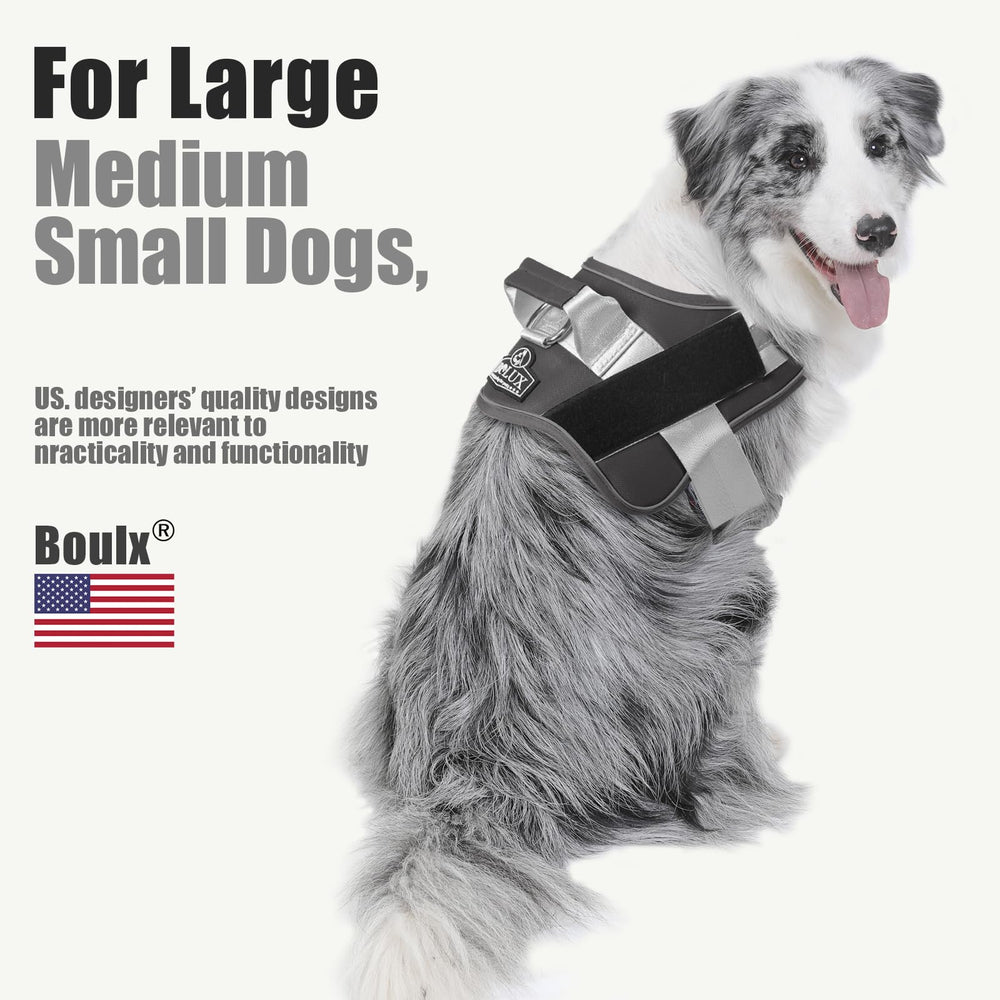 Bolux D-ring leash attachment offers versatile leash options