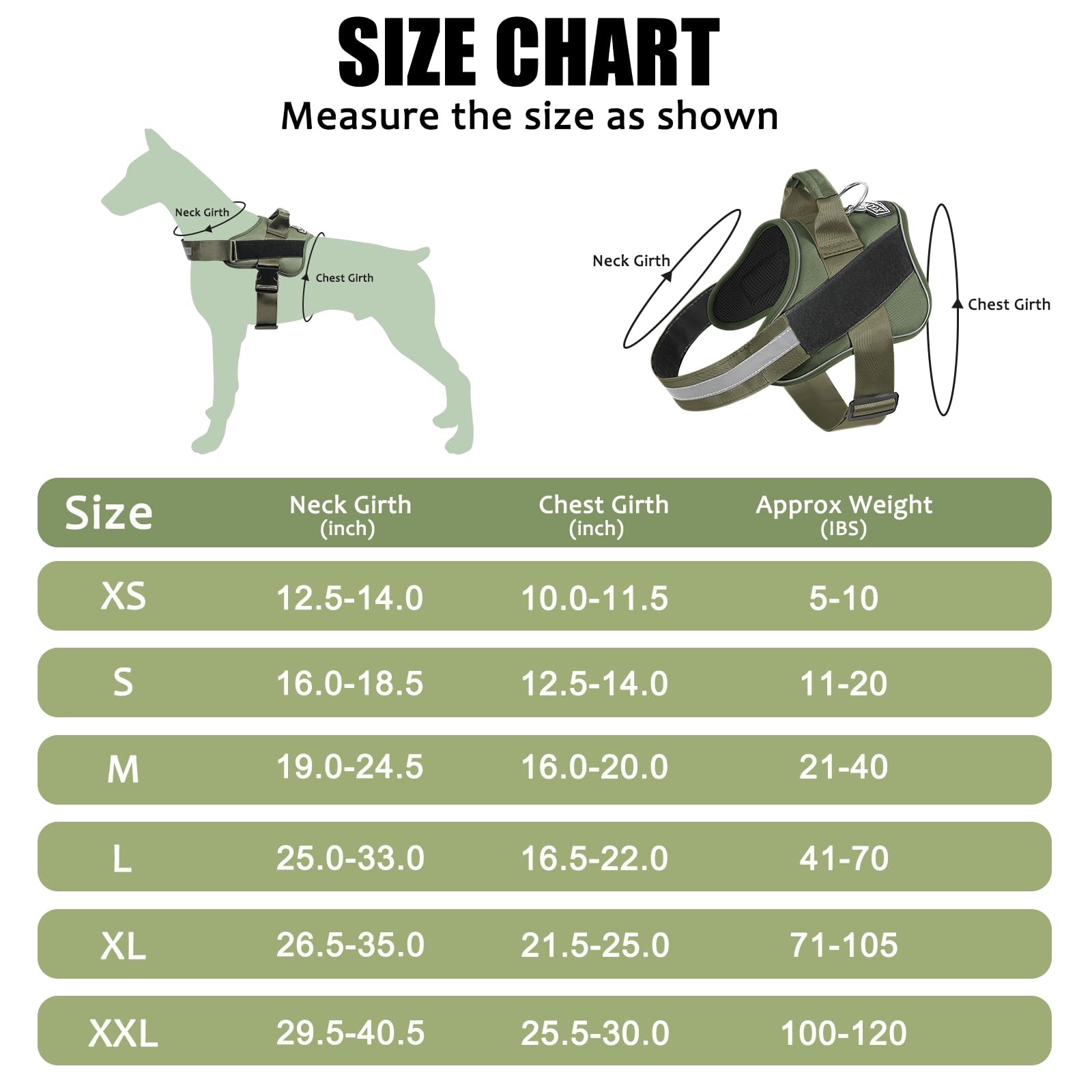 Bolux harness with adjustable chest strap to fit growing dogs.
