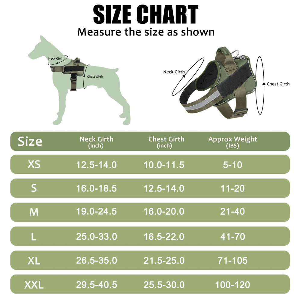 Bolux harness with adjustable chest strap to fit growing dogs.