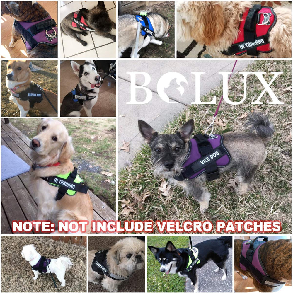 Bolux customer service support highlighted by friendly help for buyers.