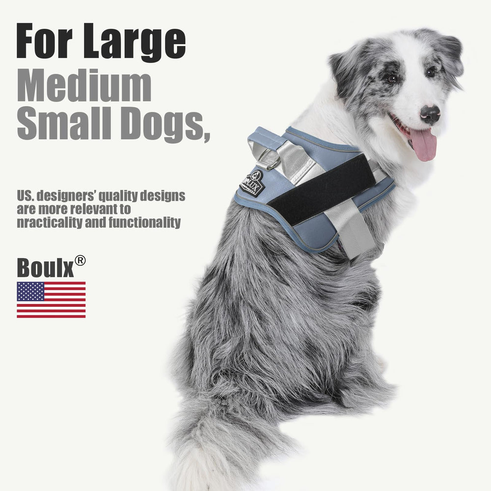 Bolux D-ring leash connection enables easy leash attachment.