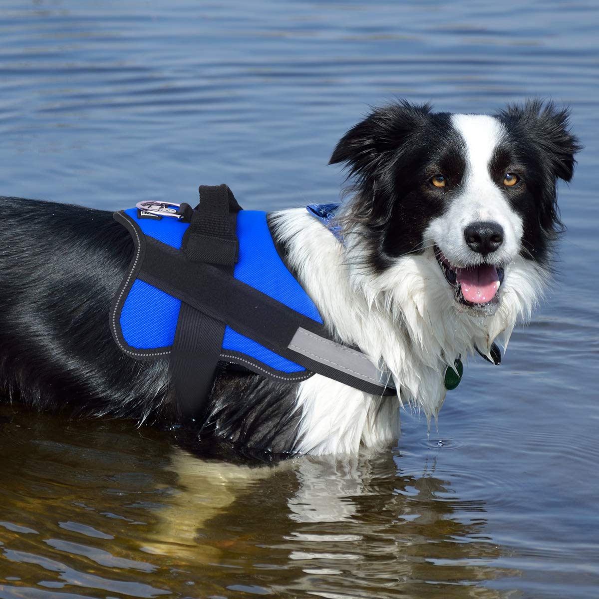 Bolux large-dog fit suitable for 41-70 lbs breeds.