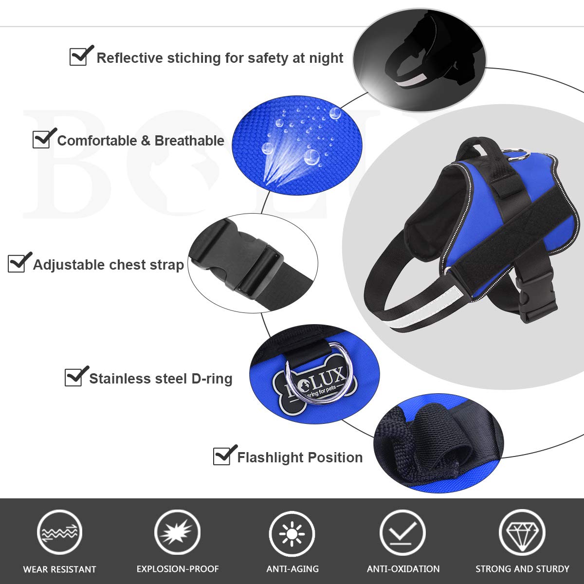 Bolux reflective straps at night increase visibility for safety.