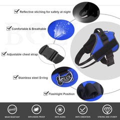 Bolux reflective straps at night increase visibility for safety.