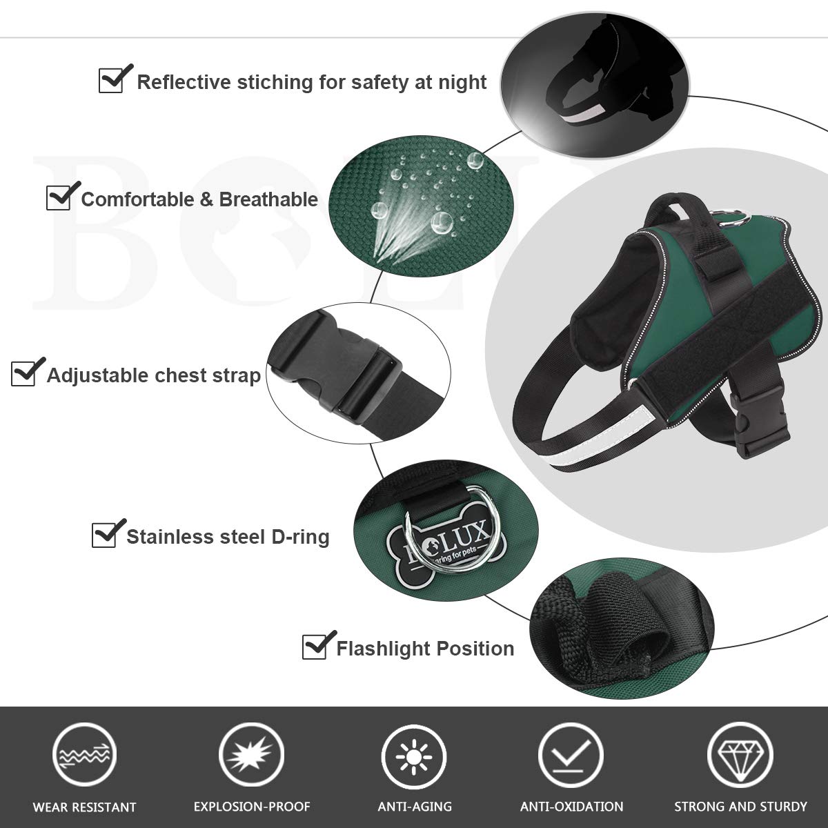 Bolux harness showing reflective straps for safer nighttime visibility.