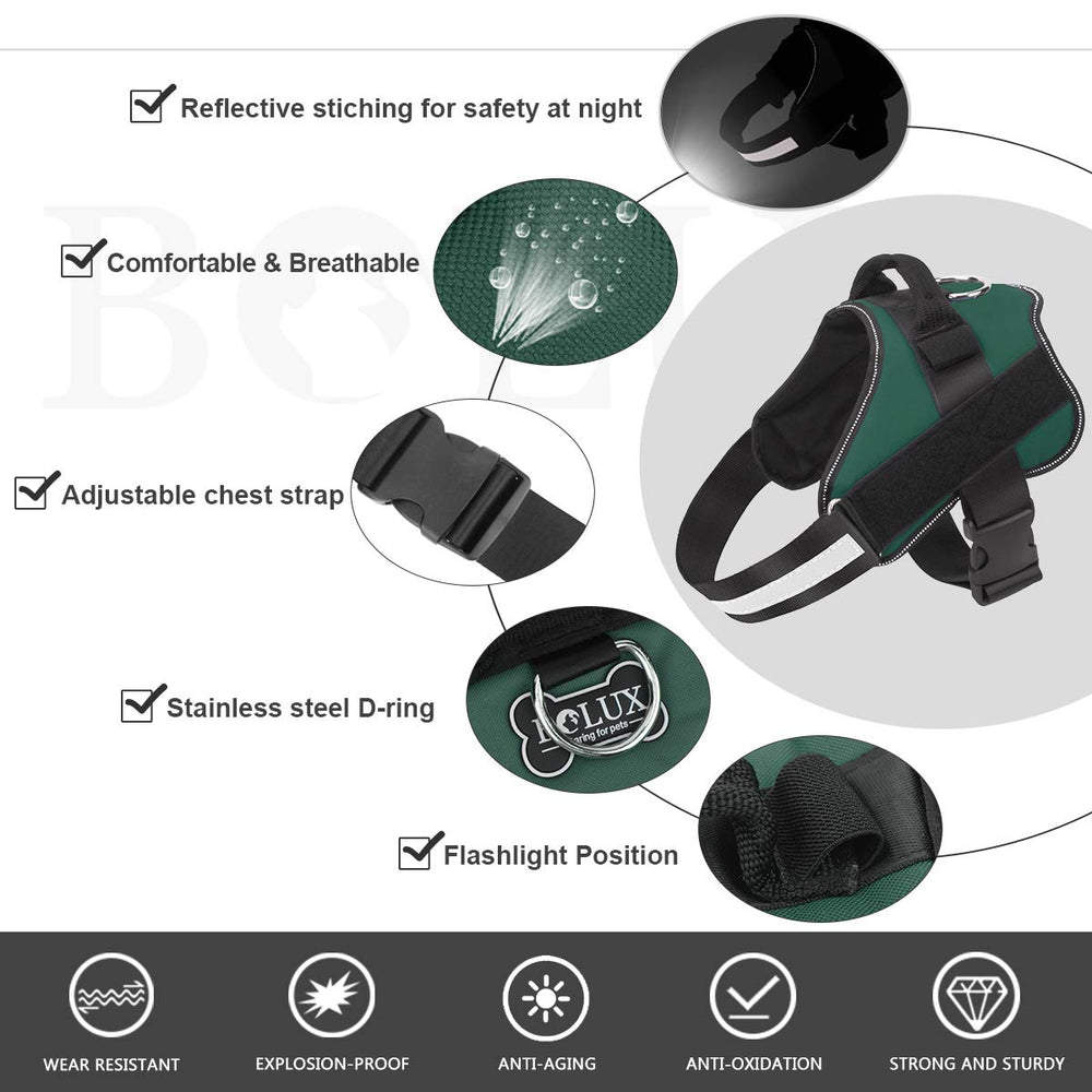 Bolux harness showing reflective straps for safer nighttime visibility.