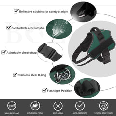 Bolux harness showing reflective straps for safer nighttime visibility.