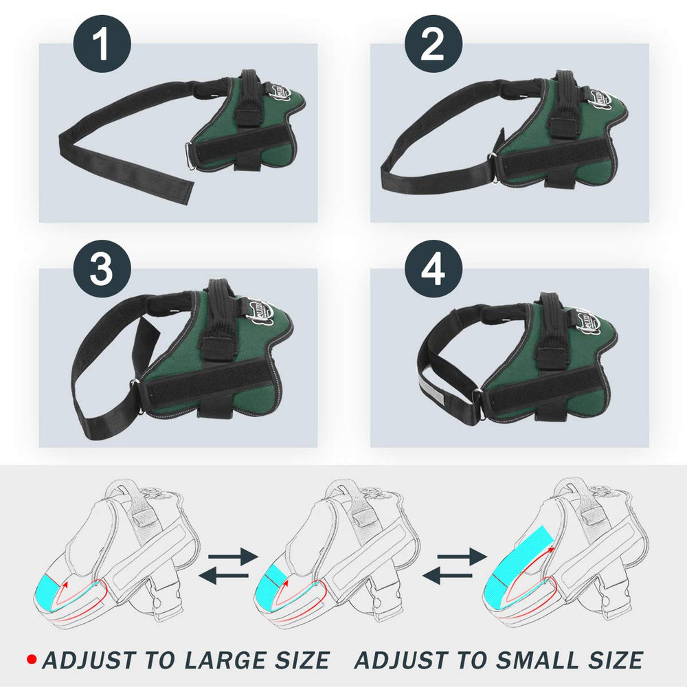 Bolux harness featuring a sturdy handle for better control.