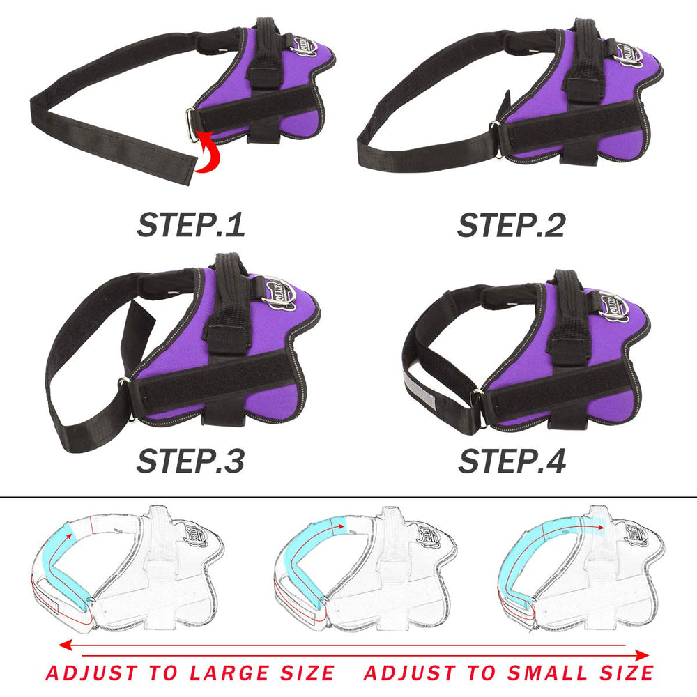 Bolux harness handle and D-ring provide easy control in crowded streets.