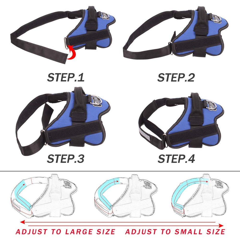 Bolux sturdy handle feature for easy control on walks.