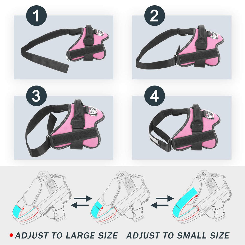 Bolux harness with D-ring leash attachment for secure walks.
