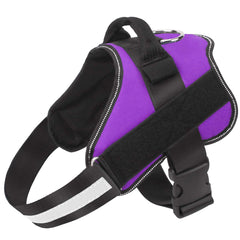 Bolux no-pull harness in purple reduces pulling during daily walks.