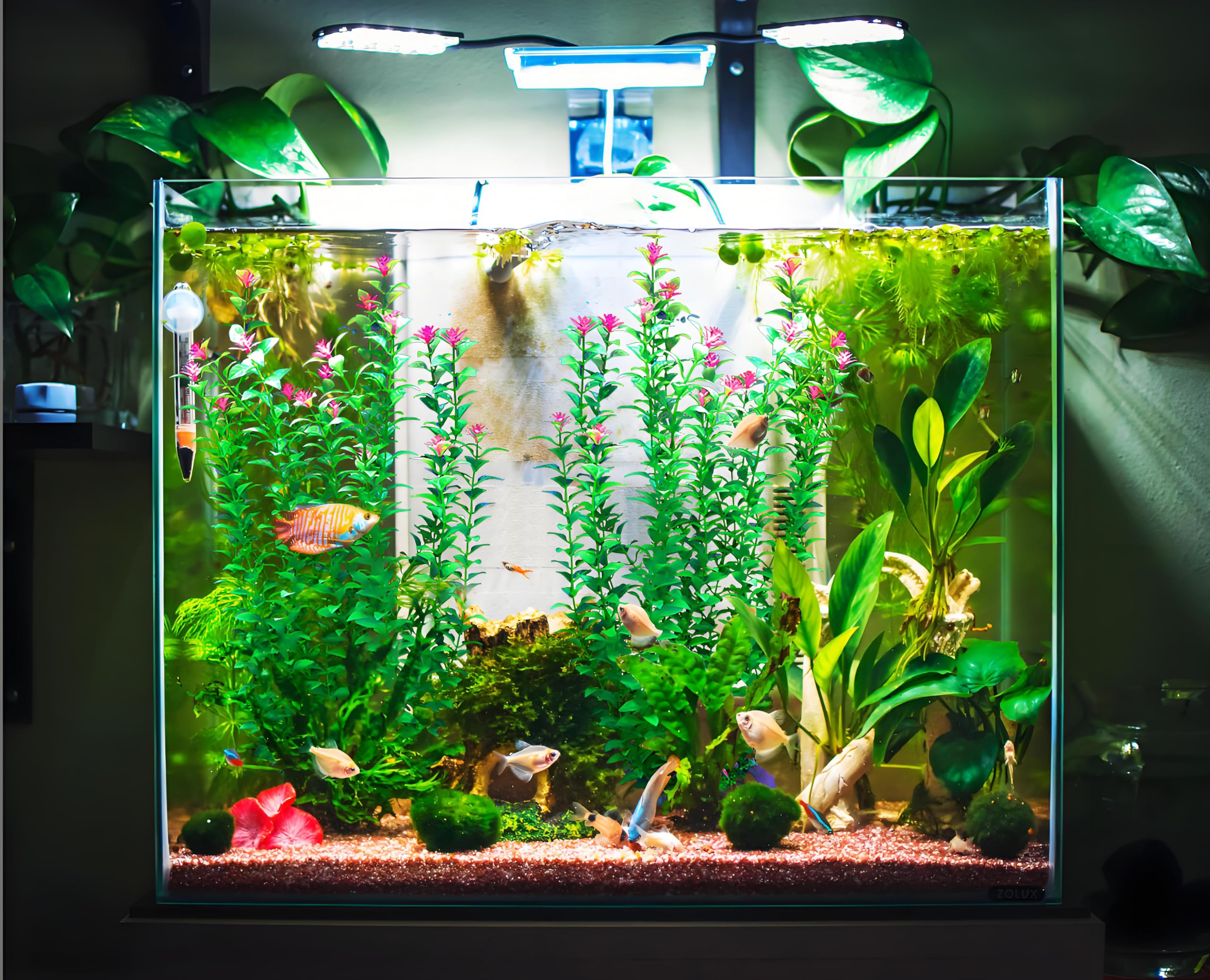 BOLYEE height-adjustable stems fit various aquarium heights.