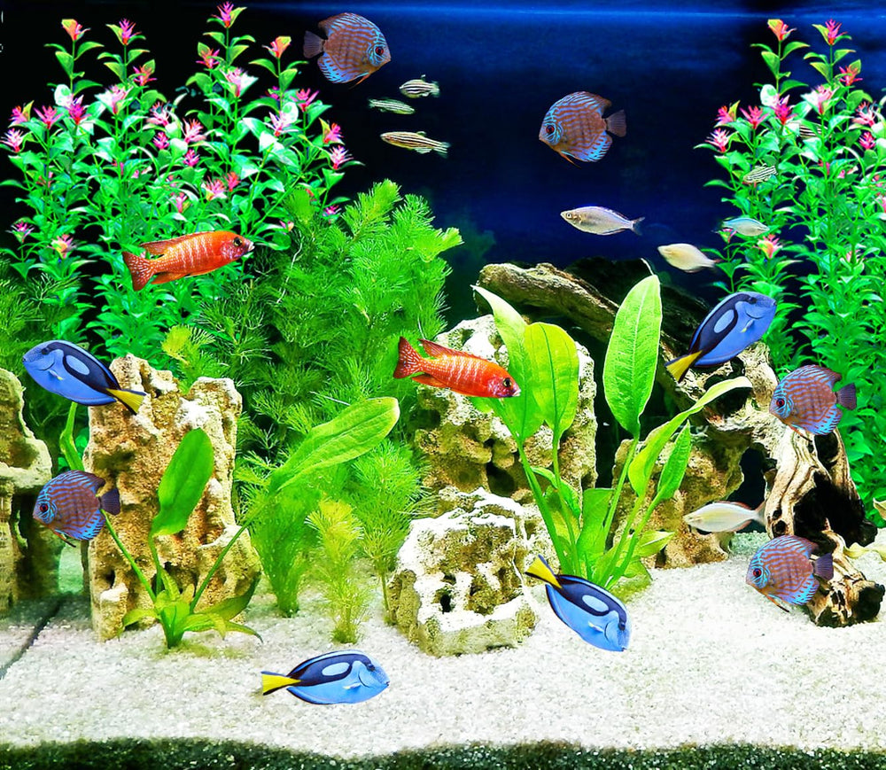 BOLYEE tall branches provide natural hiding spots for shy fish.