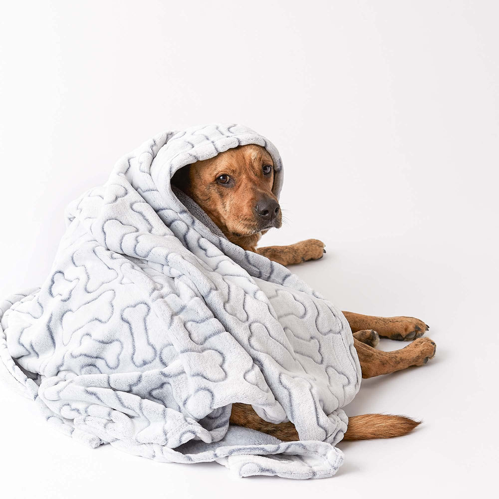 Folded in a crate, the Bone Dry blanket keeps pets snug and contained.