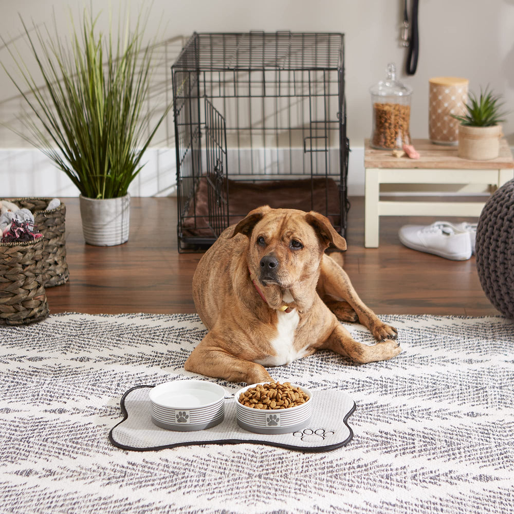 Bone Dry marble design ceramic bowl blends with home décor while feeding.