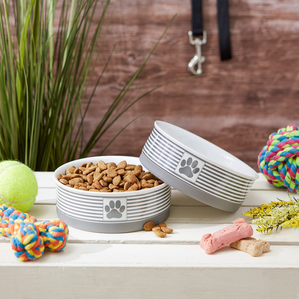 Bone Dry patriotic design ceramic bowl for daily meals and decor.