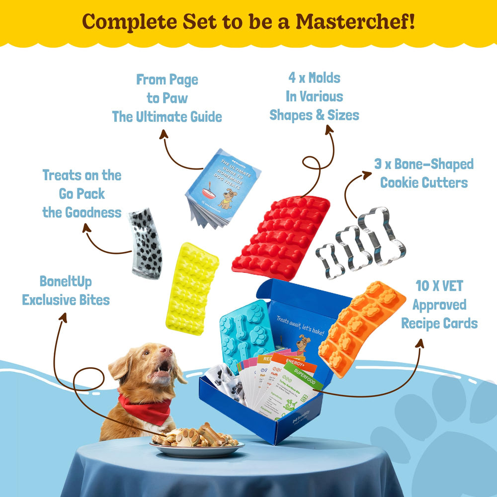 BoneItUp recipe cards offer ten canine-treat ideas