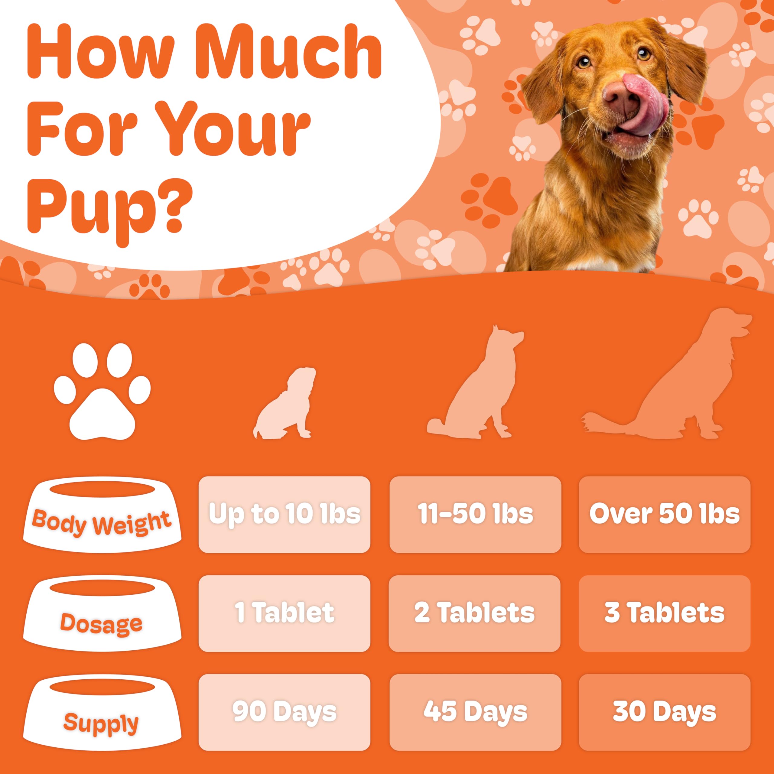 Boneo Canine Maintenance chews ready for dogs, a glucosamine-alternative path for joints.