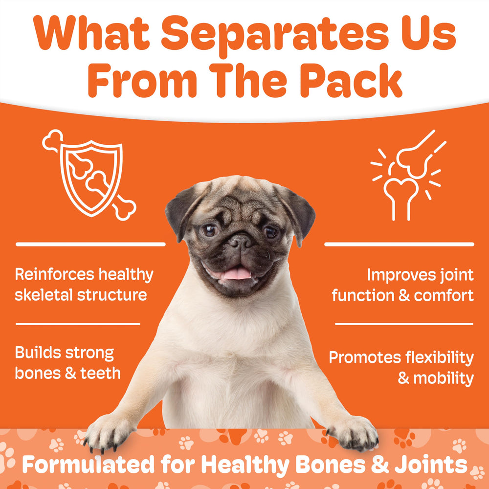 Boneo Canine Maintenance neo-portin complex label highlighting patented bone turnover support.